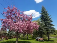 Willard Munger Inn