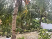 Paradis des Palmiers 2 Gorgeous 2bedroom Flat Hotele w: 