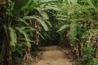 Santa Lucia Jungle Hacienda, Costa Rica, Autograph Collection Hotels in 