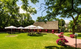 a large outdoor dining area with tables and umbrellas , surrounded by green grass and trees at Hotel Boss