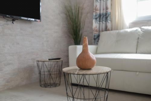 高级两卧室公寓