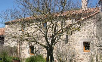 a large tree stands in front of an old stone building , with a small window and a garden nearby at La Bergerie