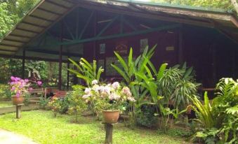 Nature Lodge Kinabatangan - All Inclusive