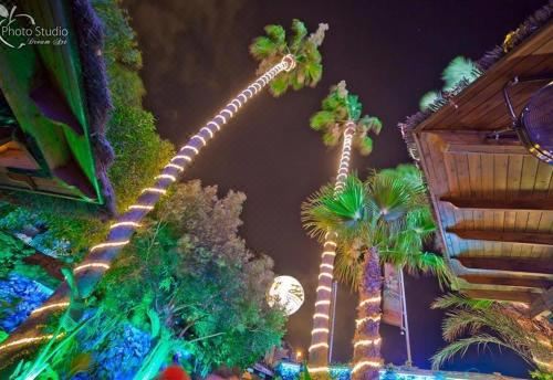 高级两卧室公寓