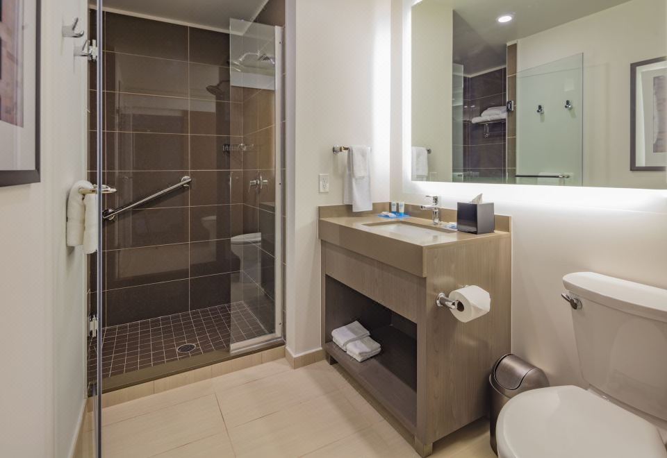 一室特大床房（带厨房，梳化床）