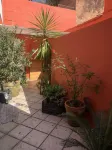 Villa Coyoacan