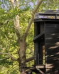 Aoos River Treehouse