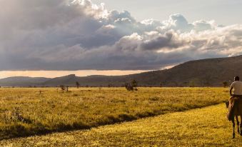 a vast , grassy field with trees in the background and clouds scattered across the sky at Elewana Lewa Safari Camp