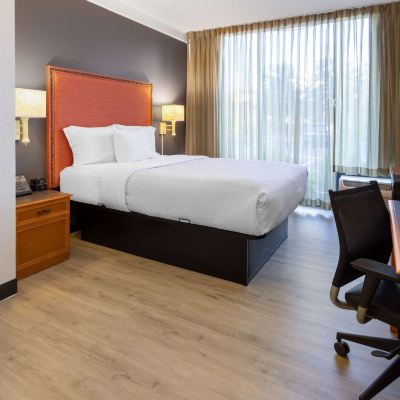 Pet-Friendly Mobility Access Deluxe Queen Room with Roll-In Shower La Quinta Inn and Suites Promo Code