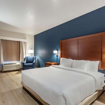 1 King Bed, Suite, Nonsmoking, Mobility & Hearing Accessible Comfort Suites Promo Code