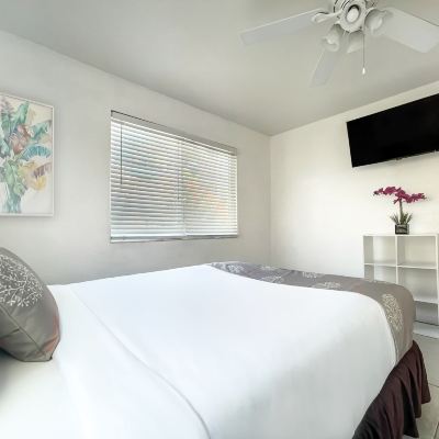 Standard Studio The Palms Promo Code