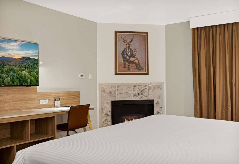 1 张特大床， 无烟房， 壁炉， 高速互联网接入， 咖啡机， 吹风机， 熨斗和熨衣板