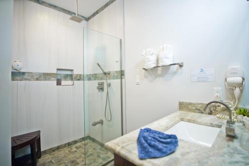 享有游泳池景致的一室公寓