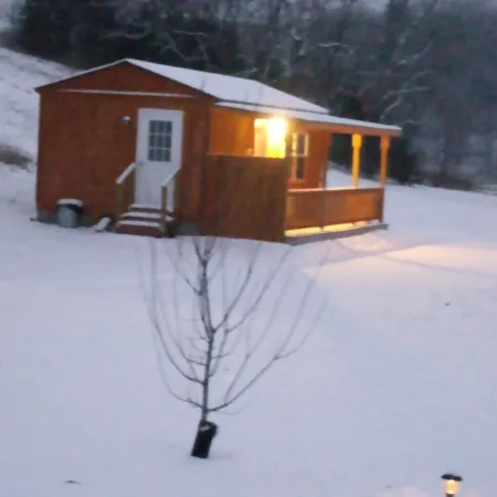 Dragonfly Creek Cabin Отели в г. Бакстер
