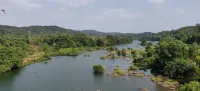 Paradise Wild Hills
