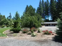 Mother Lode Motel Hotels in Placerville