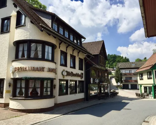 Landhotel Alte Aue Hoteles en Upper Harz