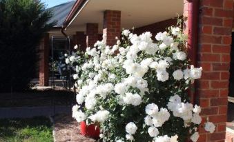 Dunrose Cottage - Housity