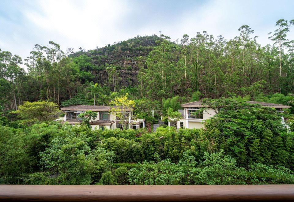 绿庭氧居 | 山景阳台大床房