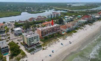 The Rose 503 - Housity
