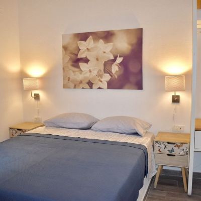 Comfort One-Bedroom Apartment MiCasa Promo Code
