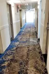 Comfort Inn Boston Milford