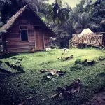 Oveng Lodge Hotel a 