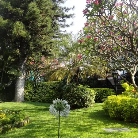 Hotel Vista Hermosa Отели в г. Куэрнавака