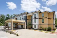 Best Western Plus Regency Park Hotels in 