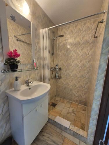 带园景一室公寓