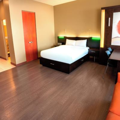 Studio, 1 Queen Bed, 1 Murphy Bed and 1 Sofa Bed Hotel Must Promo Code