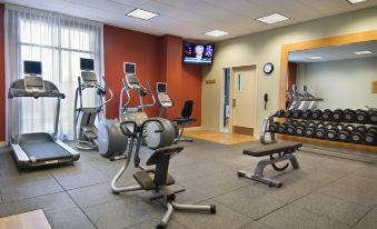 a well - equipped fitness center with various exercise equipment , including treadmills , stationary bikes , and weight machines at Hilton Garden Inn Phoenix Airport North
