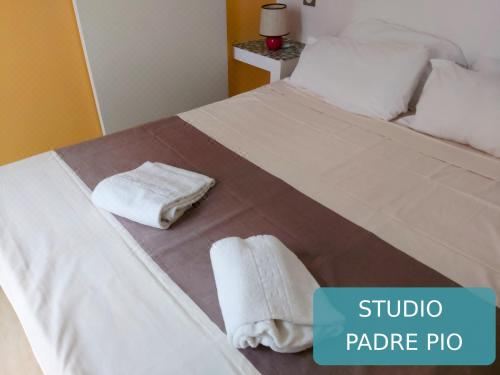 带阳台的单间 （Padre Pio）