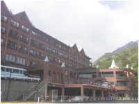 Hotel de Marronnier Yunoyama-Onsen