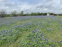 Country Farmhouse close to Texas A&M, wedding venues, & wineries! Hoteles en Condado de Grimes