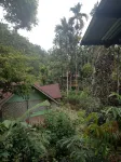 Green Lodge Tangkahan Hotels in 