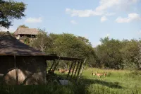 Elewana Serengeti Pioneer Camp Hotels in 