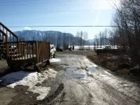 Brown Bear Saloon & Motel