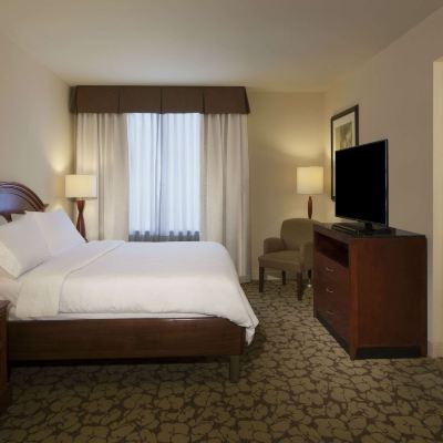 One Bedroom King Suite with Sofa Bed Hilton Garden Inn Virginia Beach Town Center Promo Code