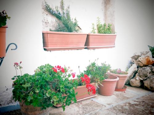 带露台的双人房