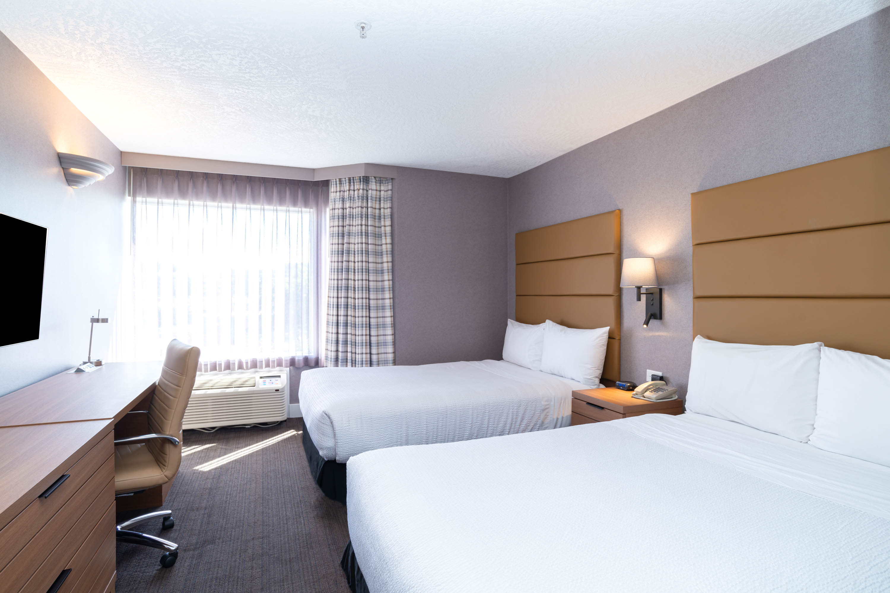 标准套房，2张双人床，梳化床，小厨房