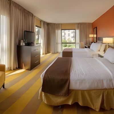 Room With 1 King Bed, Mobility/Hearing Accessible, Bathtub With Grab Bars-Non-Smoking 羅切斯特市區假日酒店優惠