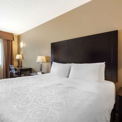 Suite-1 King Bed, Non-Smoking, Larger Room, Kitchenette, Pillowtop Bed, Sofabed, Full Breakfast Best Western Plus Peace River Hotel & Suites Promo Code