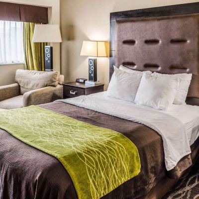 Accessible Queen Room-Non-Smoking Comfort Inn Downtown Charleston Promo Code