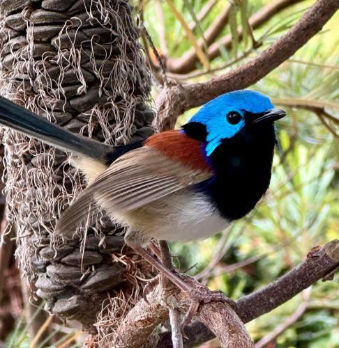 豪华大床一室房