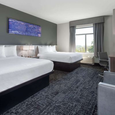 客房 - 帶兩張大床 - 可攜帶寵物 - 禁煙 Baymont Inn & Suites by Wyndham Madison優惠