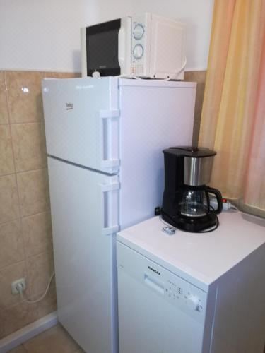 一卧室公寓 - 带庭院