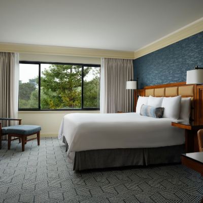 Deluxe King Room Hotel Abrego Promo Code