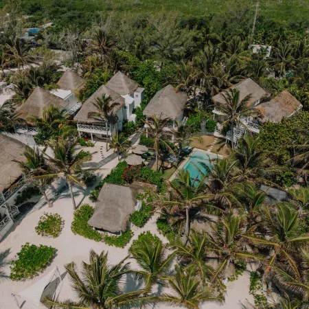 Coco Unlimited