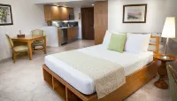 The Marlin at Taino Beach Resort